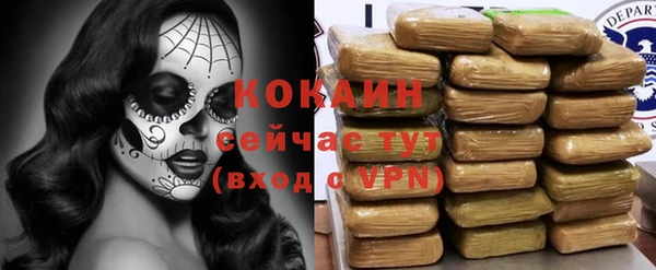 винт Арсеньев