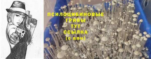 винт Арсеньев