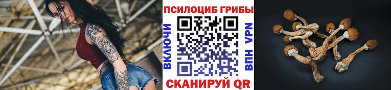хочу   это наркотические препараты  Псилоцибиновые грибы прущие грибы  Бавлы 